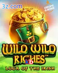 kb slot wild wild riches